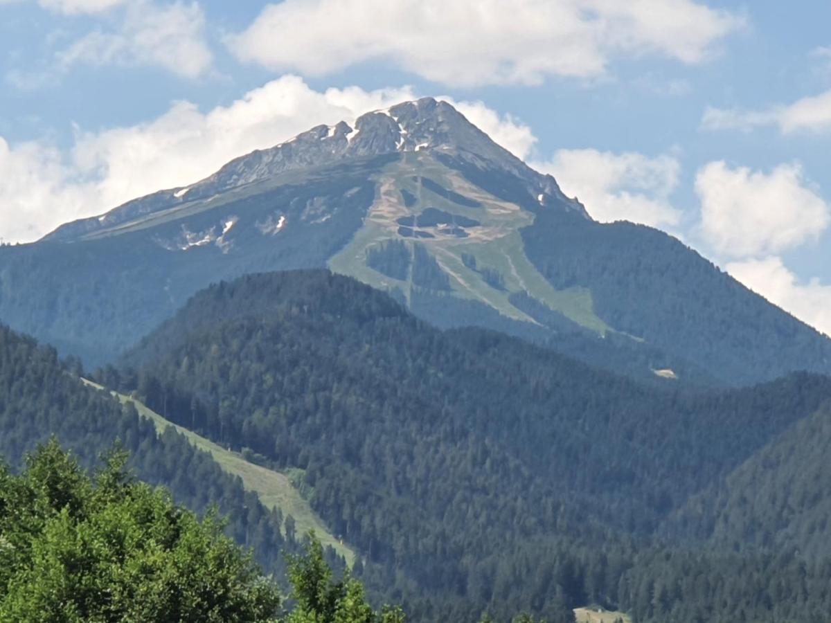Family Apartment Vyani Bansko Zewnętrze zdjęcie